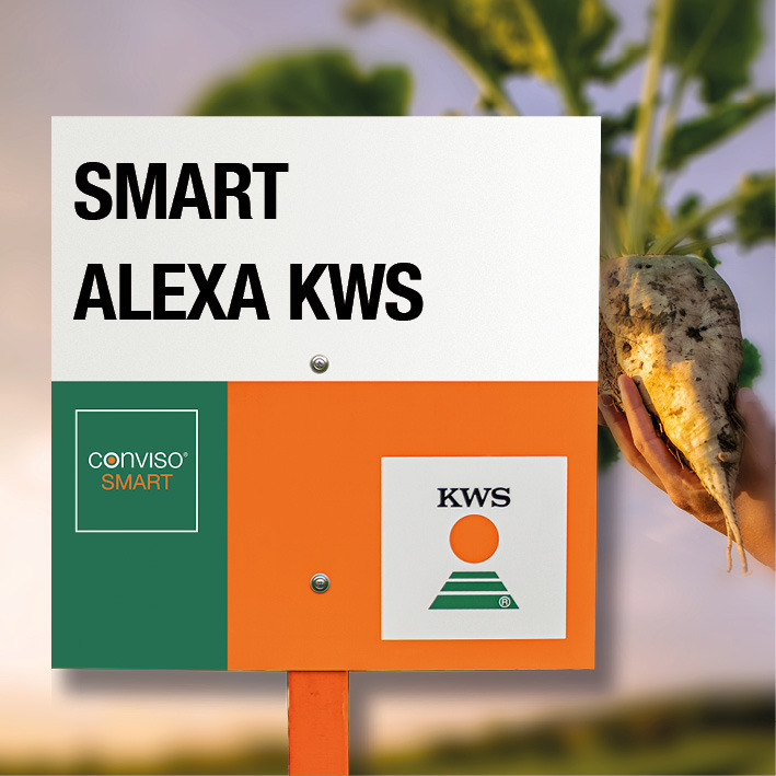 SMART alexa KWS