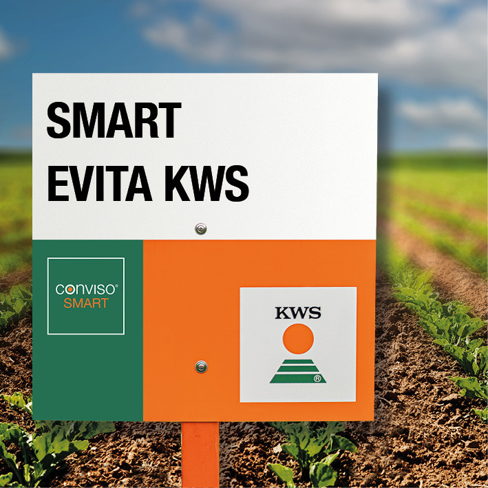 SMART evita KWS