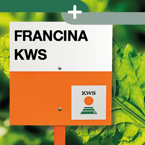 francina KWS