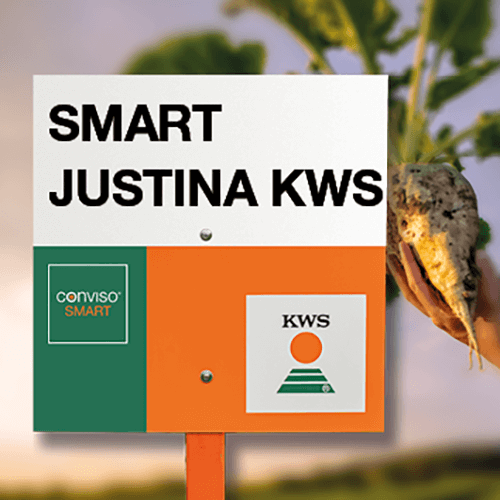 SMART justina KWS