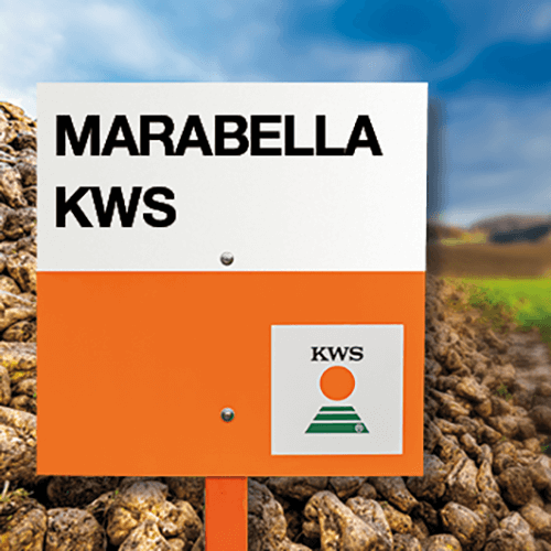 marabella KWS