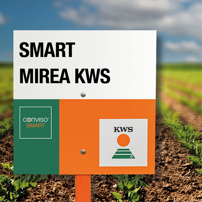 SMART mirea KWS