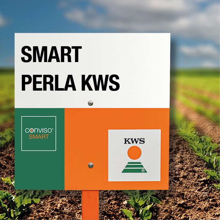 SMART perla KWS